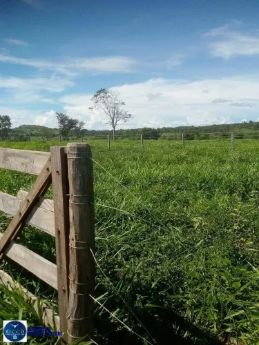 Chácara à Venda em São Luis de Montes Belos  GO | 10 Alqueires / Cultura