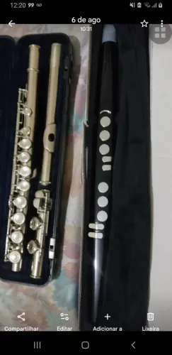 flauta transverssal e eletrica