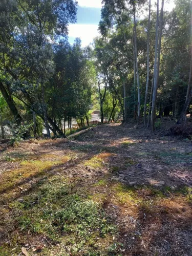 Área 27L lCasa?5?peças | Tirania?20km Piraí?do?Sul 