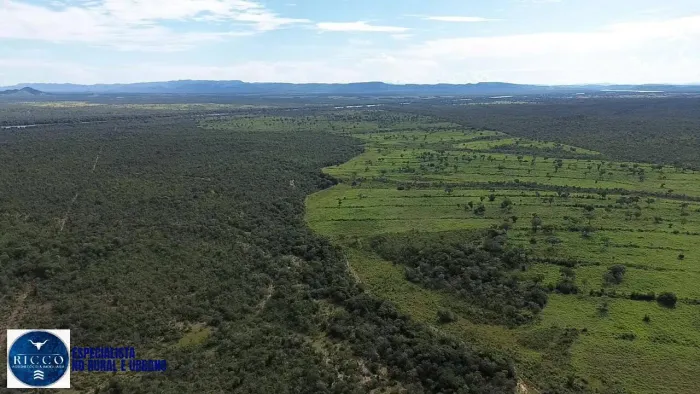 Fazenda à Venda em Paranã - TO | 1.076 Hectares (224 alqueires)