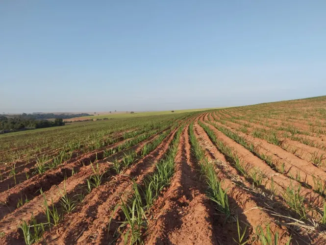 Fazenda de luxo à venda em Getulina-SP: 3 quartos, 1 suíte, 3 salas, 2 banheiros, 5 vagas