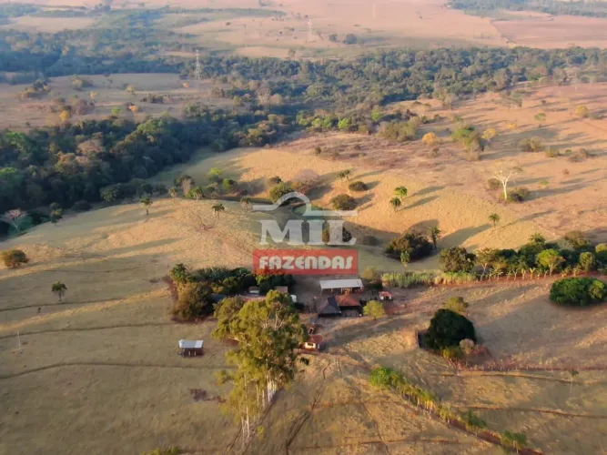 Chácara 6 alqueires (29 hectares) próximo a Goiânia.