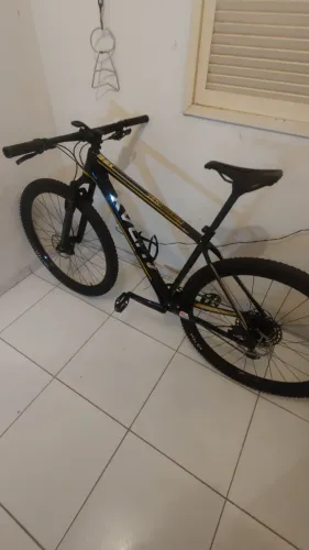 Bicicleta Audax auge