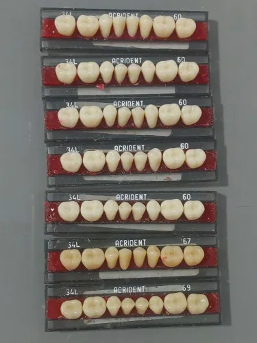 Lote de Placas de dentes de resina