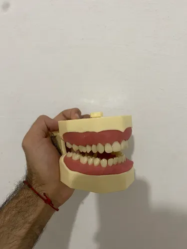 Manequim multidisciplinar odontológico