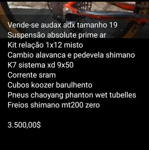 Bike audax aro 29 