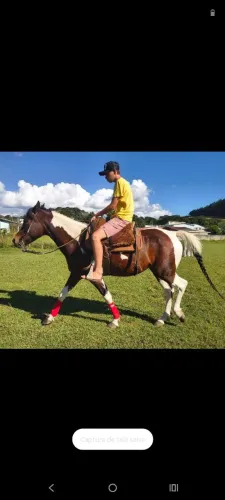 Égua panpa