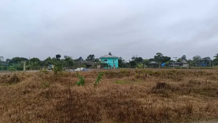 LINDA CHÁCARA - 8.000 M² -COM CASA E SOBRADO - EM SÃO FRANCISCO DO SUL - 5 KM DO CENTRO