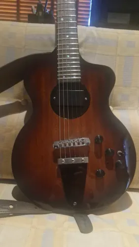 Rick Turner Model 1