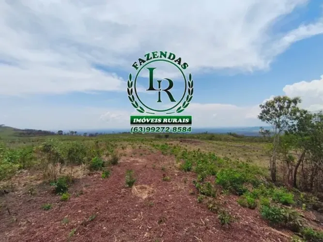 Fazenda Dupla Aptidão, Área 120 Alqueires, Próximo de Palmas