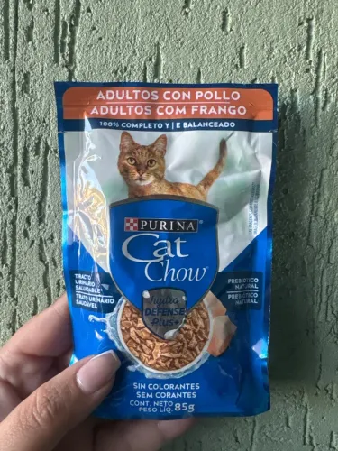 Ração gato