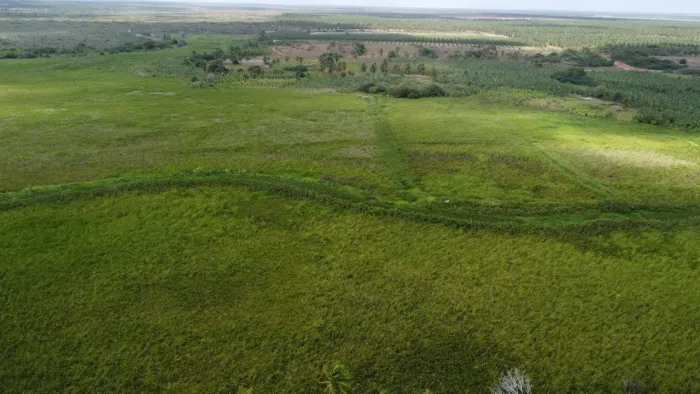 fazenda com 1.200 hectares na região de punau em rio do fogo terra excelente para plantaçã