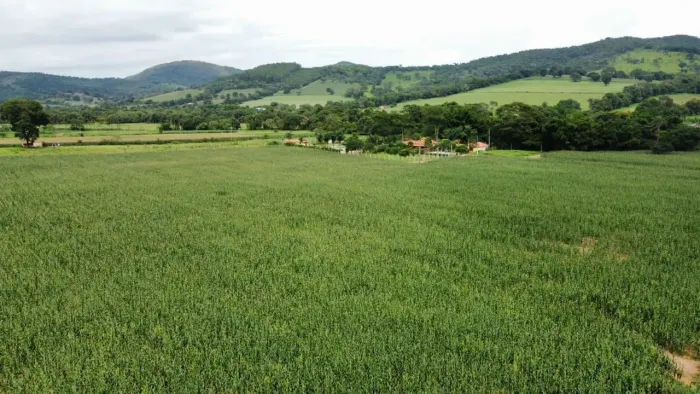 Chacaras em serra azul Mateus leme