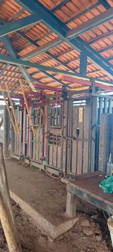 (OPORTUNIDADE) FAZENDA À VENDA NO TOCANTINS,LUCRATIVIDADE GARANTIDA MELHOR INVESTIMENTO
