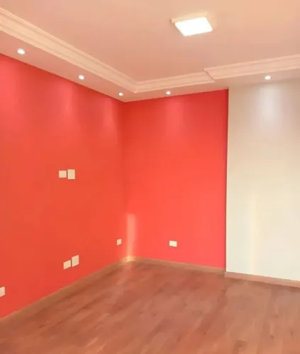 Pintor profissional