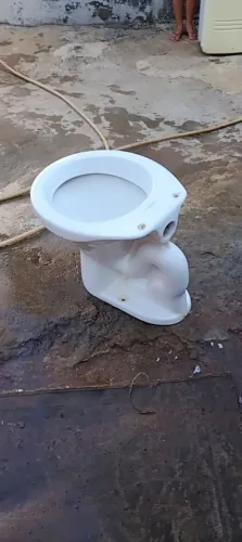 Vendo esses dois vasos cada um 150