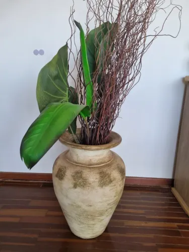Vaso de cerâmica com as plantas