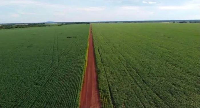 Fazenda 34.000 hec aberta 9.000 hec em Confresa MT. 650 milhões.