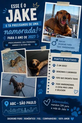 Procura-se namorada salsicha