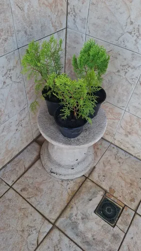 Vendo