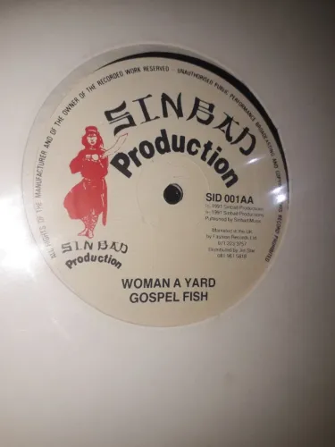 Disco de Vinyl 