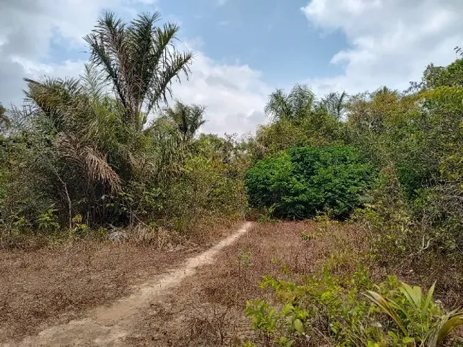 250 hectares há 105 km de Castanhal por R$700 mil reais