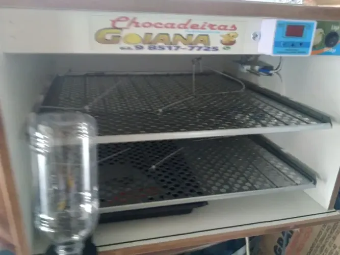 Chocadeira automatica para 240 ovos