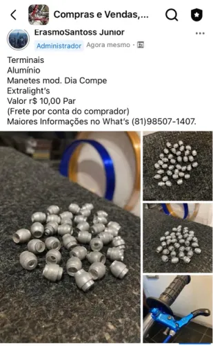 Terminais