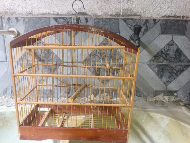 Vendo gaiola 70,00