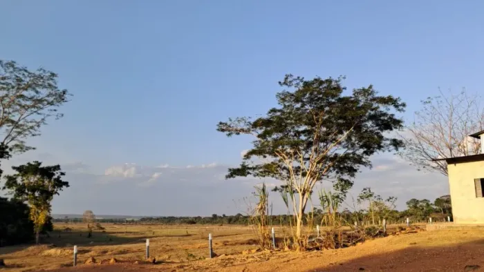 Fazenda em Mato Grosso 