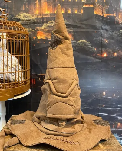 Chapéu Seletor de Hogwarts