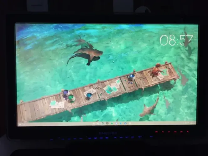 Monitor P2370 23 polegadas