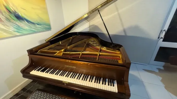 Piano Essenfelder cauda (1,78m) 1973