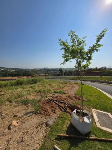 Terreno à venda em Campinas, Alphaville Dom Pedro, com 412 m², Alphaville Dom Pedro Zero