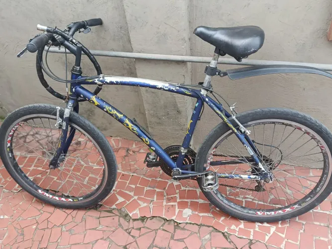 Bicicleta