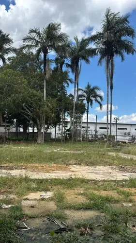 Imóvel para aluguel e venda tem 48000 metros quadrados em Colônia Terra Nova - Manaus - AM