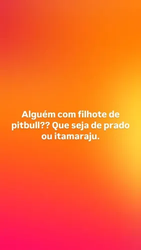 Filhote de pit bull