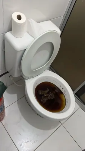 Desentupidor de vaso, esgoto e caixa de gordura 