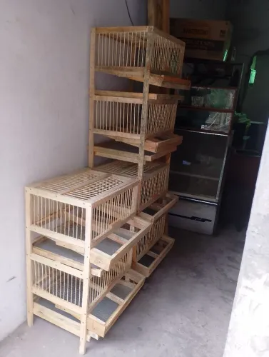 Viveiro para codornas em bh