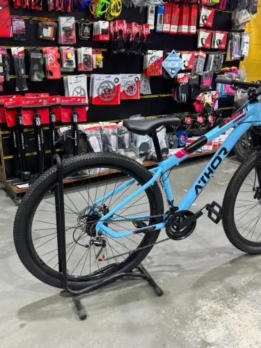 Bicicleta aro 29