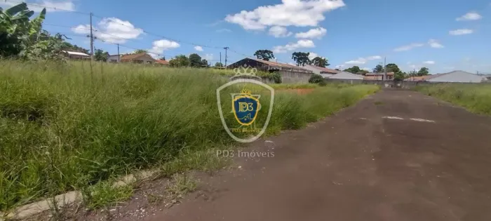 TERRENO A VENDA BAIRRO PIRIQUITOS VILA BORATO BORATO - 7910