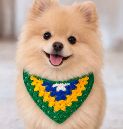 Bandana Pet Crochê 