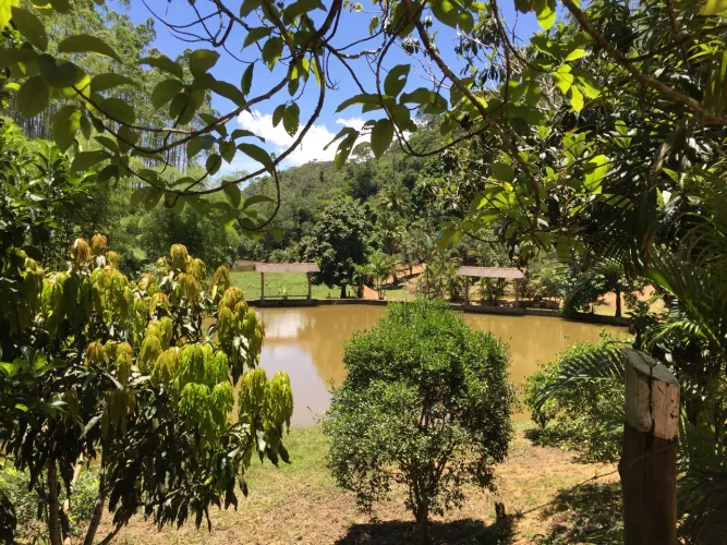 Vendo Sítio em Viana com 130mil m2