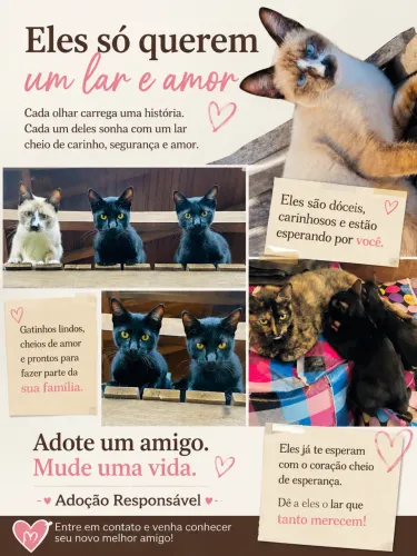 Doação responsável 