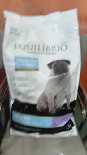 Ração cães