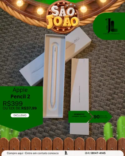 APPLE PENCIL 2, SEMINOVO, EXCLUSIVO!