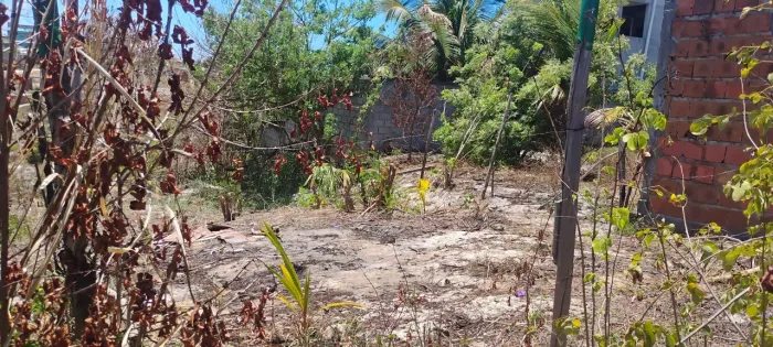 Terreno arembepe