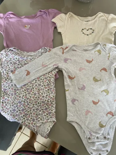 Bodys Carters