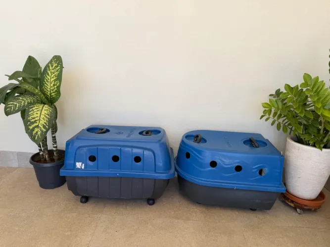 Kit com 2 caixas de transporte pet - Grande