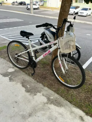 Bicicleta Caloi feminina Aro 24